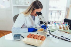 Cursus Ingénieur en Alimentation – Rennes
