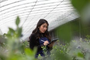 Cursus Ingénieur Agronome – Rennes